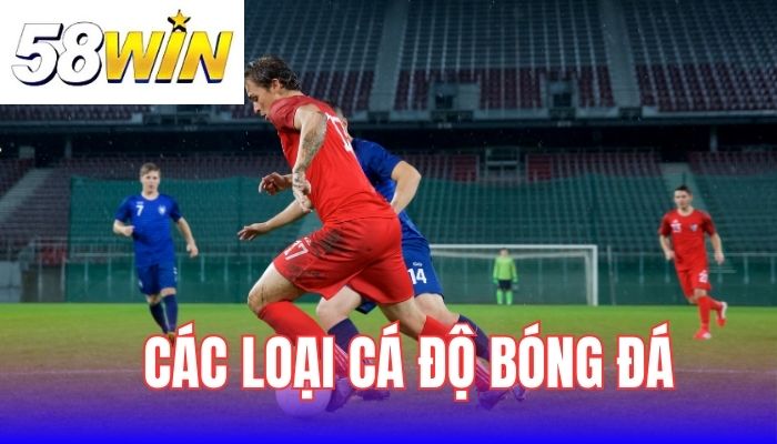Tìm hiểu các loại cá độ bóng đá